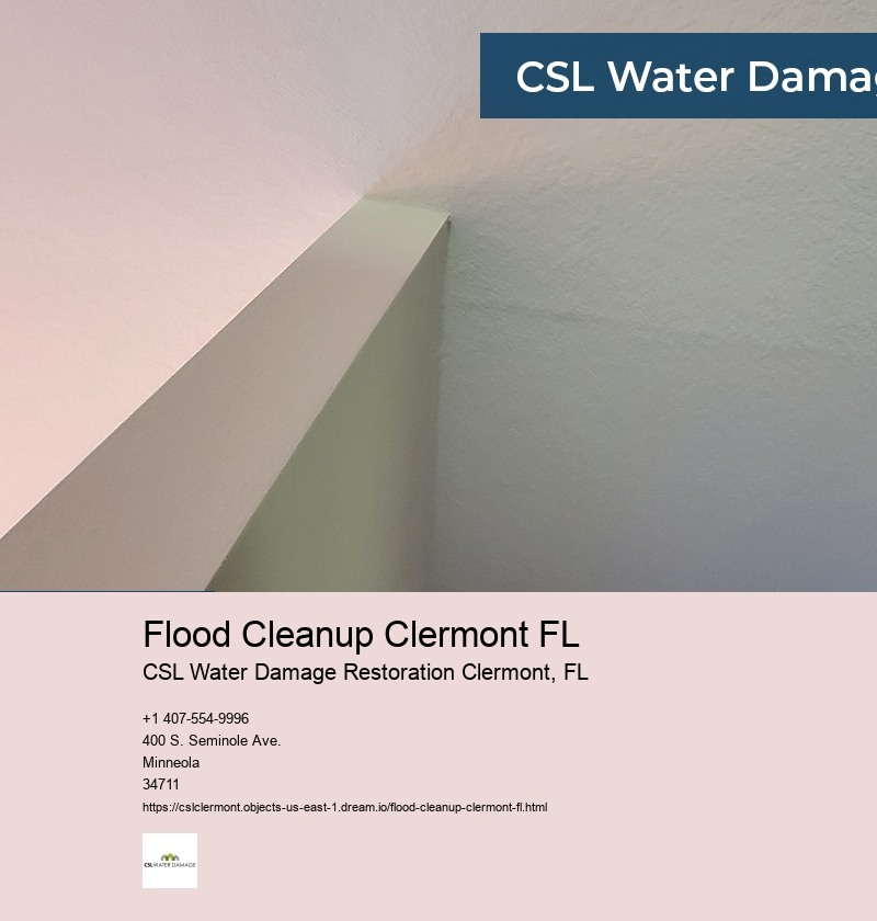 Flood Cleanup Clermont FL