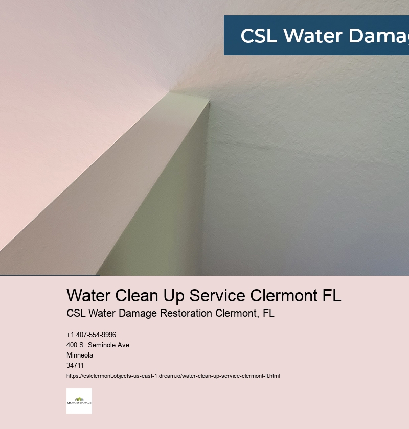 Water Clean Up Service Clermont FL