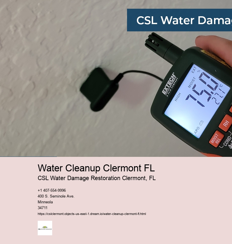 Water Cleanup Clermont FL