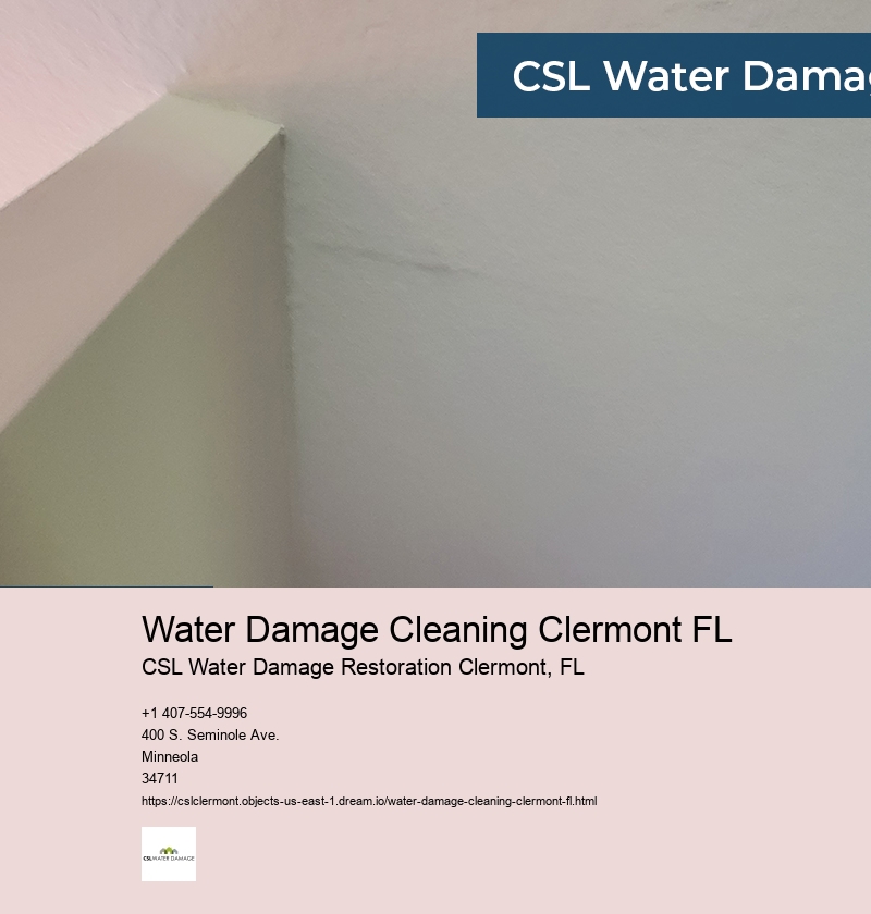 Water Damage Cleaning Clermont FL