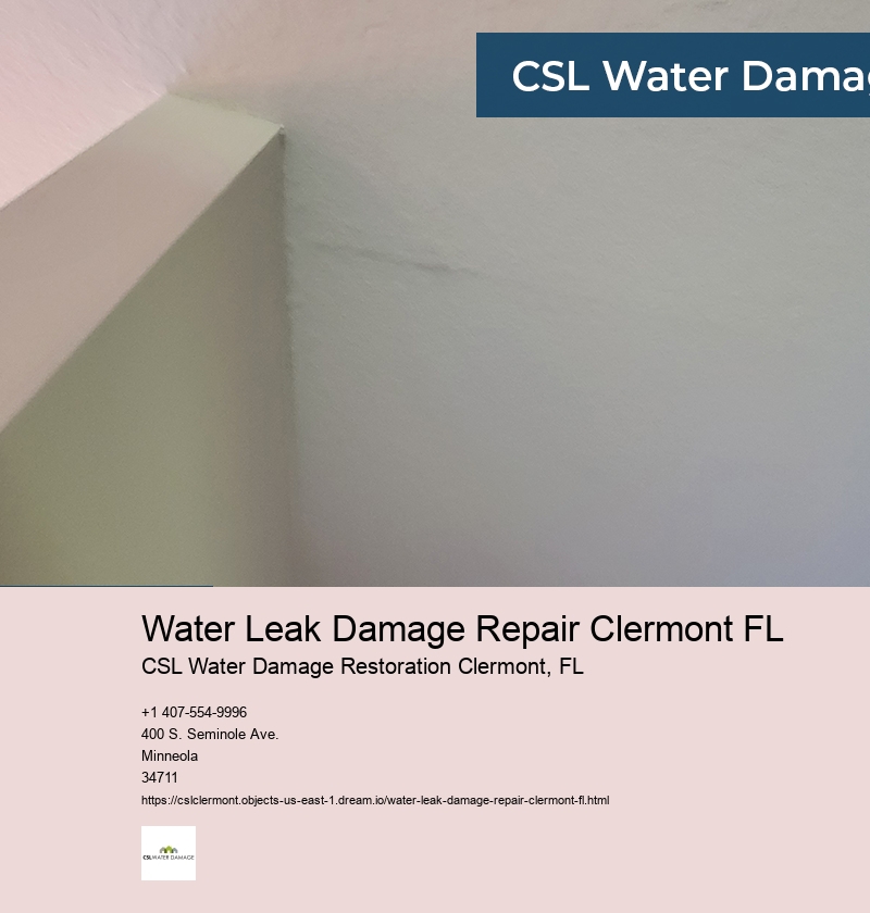 Water Leak Damage Repair Clermont FL
