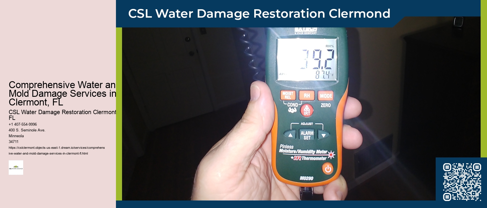 Comprehensive Water and Mold Damage Services in Clermont, FL